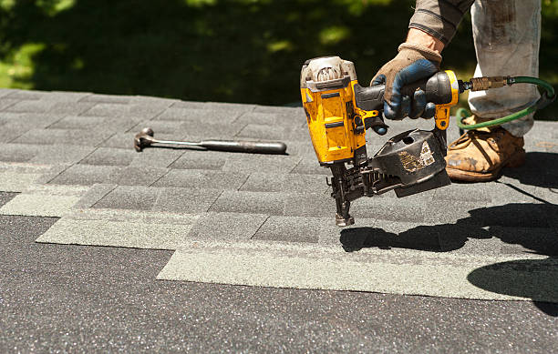 Roof Gutter Cleaning in Lake Los Angeles, CA